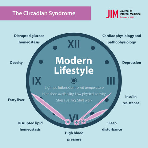 How circadian disruption cascades through your health