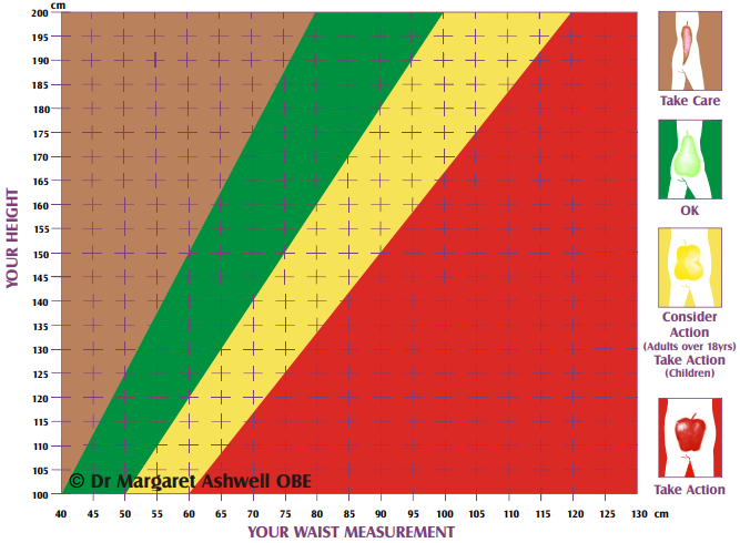The Ashwell® Shape Chart